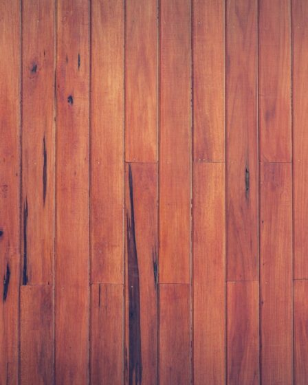 Wat kost een EVC vloer en waar moet je op letten bij het kopen