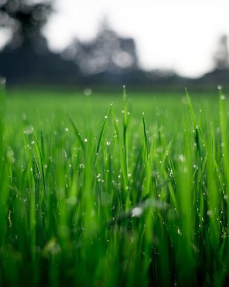 De perfecte kinderkamer op zolder
