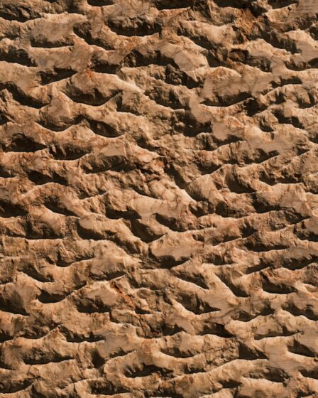 Stucwerk repareren: zo maak je je muur weer mooi en strak