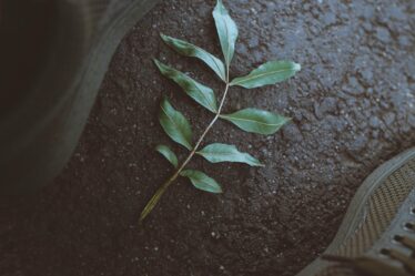 Alles over bitumen: stevig materiaal voor verschillende klussen