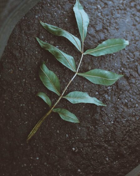 Alles over bitumen: stevig materiaal voor verschillende klussen