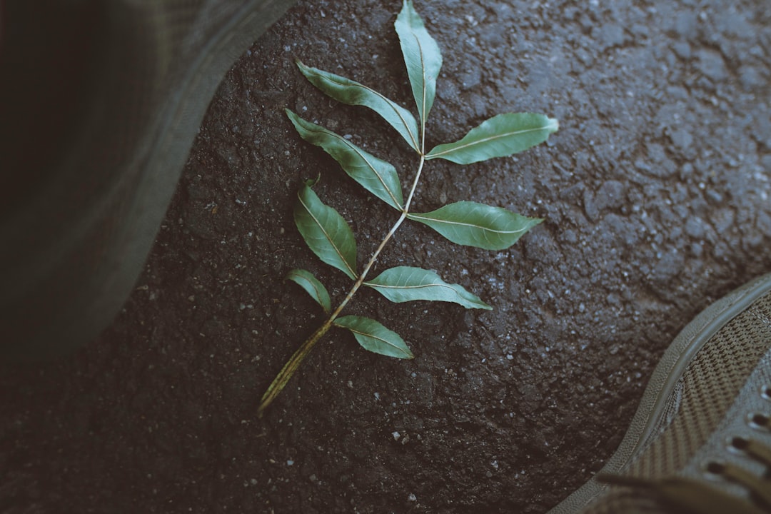 Alles over bitumen: stevig materiaal voor verschillende klussen