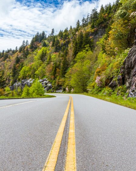 Bitumen dakbedekking: de stevige keuze voor elke klusser